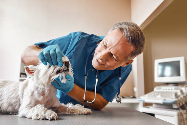 Best Emergency Treatment for Oral Infections in South Euclid, OH